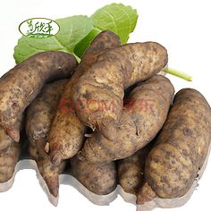 產(chǎn)品【天麻】